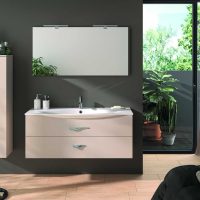 Thumbnail of http://Spiegel%20FLORE%20L120